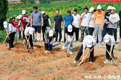 度小满携手汝阳县发起助农公益直播，持续助力乡村产业和人才振兴