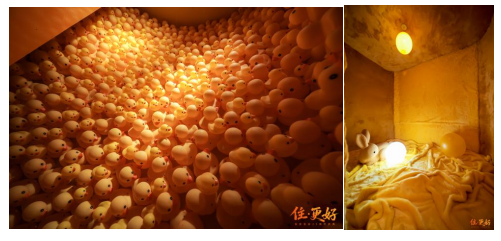 图片12.png
