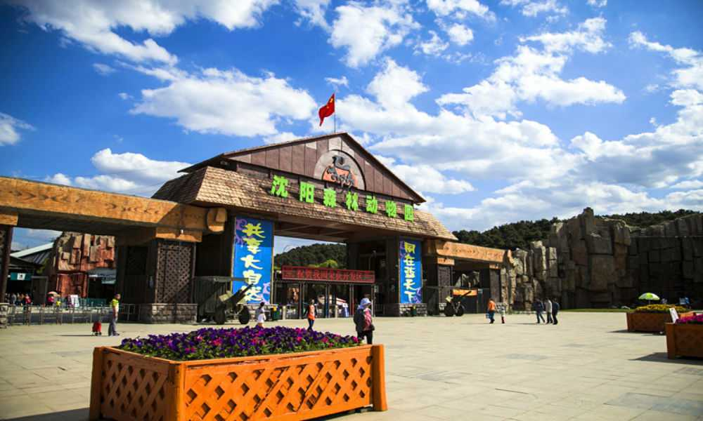 图片10.png