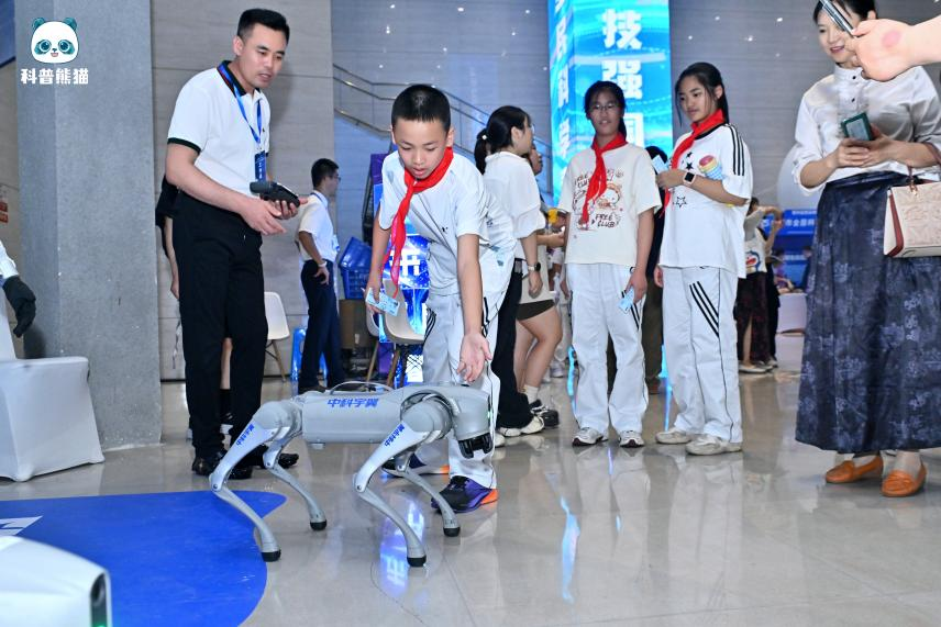 图片11.png