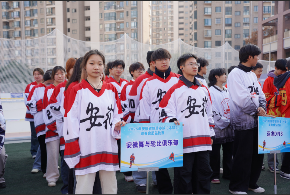 1765091786650359.png 4.png