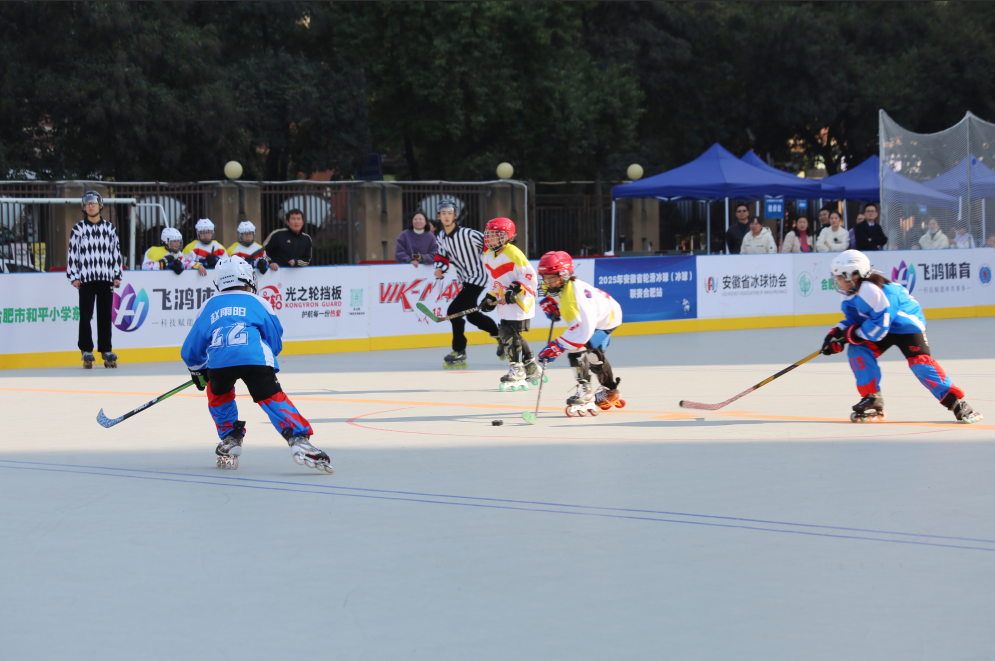 1765091998929128.png 2.png