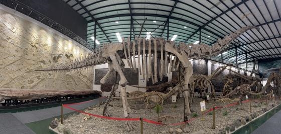 2026海南三亚观赏石博览会将于1月启幕：石蕴三亚，晶美天涯