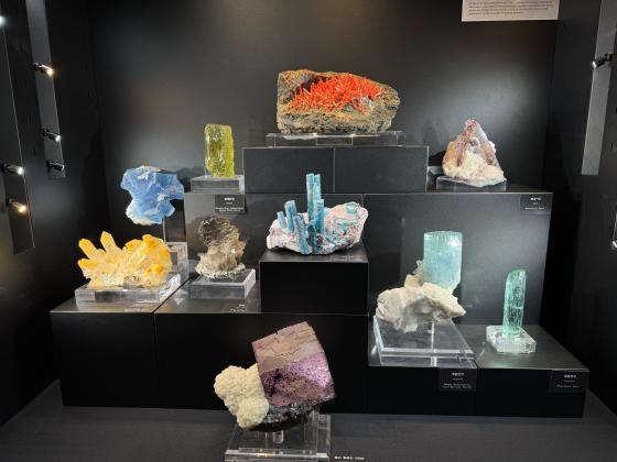 2026海南三亚观赏石博览会将于1月启幕：石蕴三亚，晶美天涯