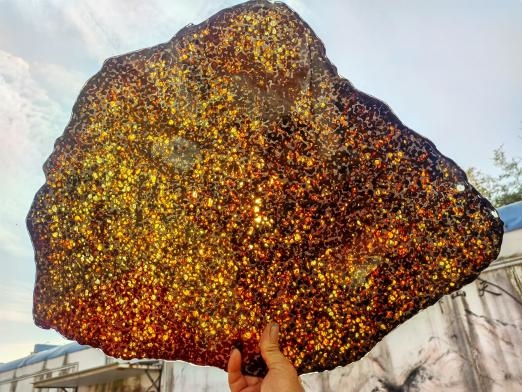 2026海南三亚观赏石博览会将于1月启幕：石蕴三亚，晶美天涯