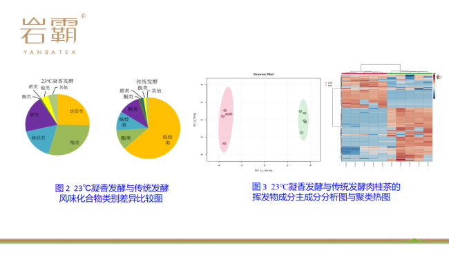 严谨、科学的诠释岩韵奥秘 ——《23℃凝香发酵技术武夷肉桂品质白皮书》发布