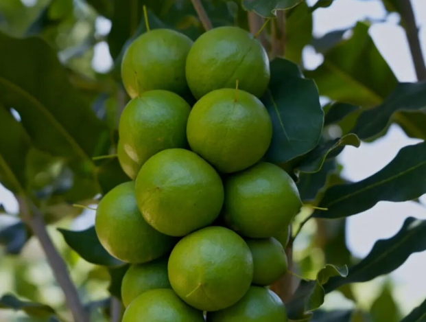 QQ_1782101374166.png