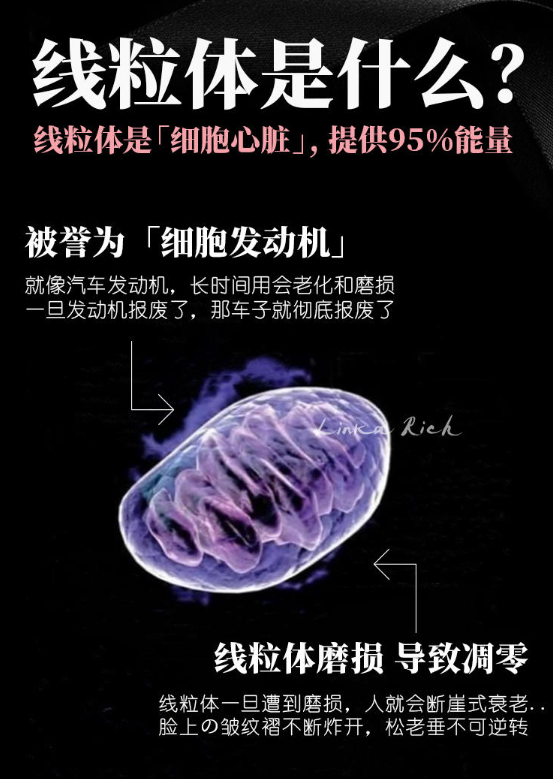 d90c517f877dfb19918e45194dd5bc3e.png